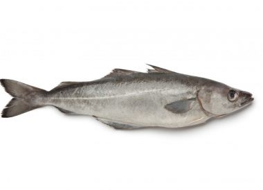 Technique pour lever les filets de lieu jaune