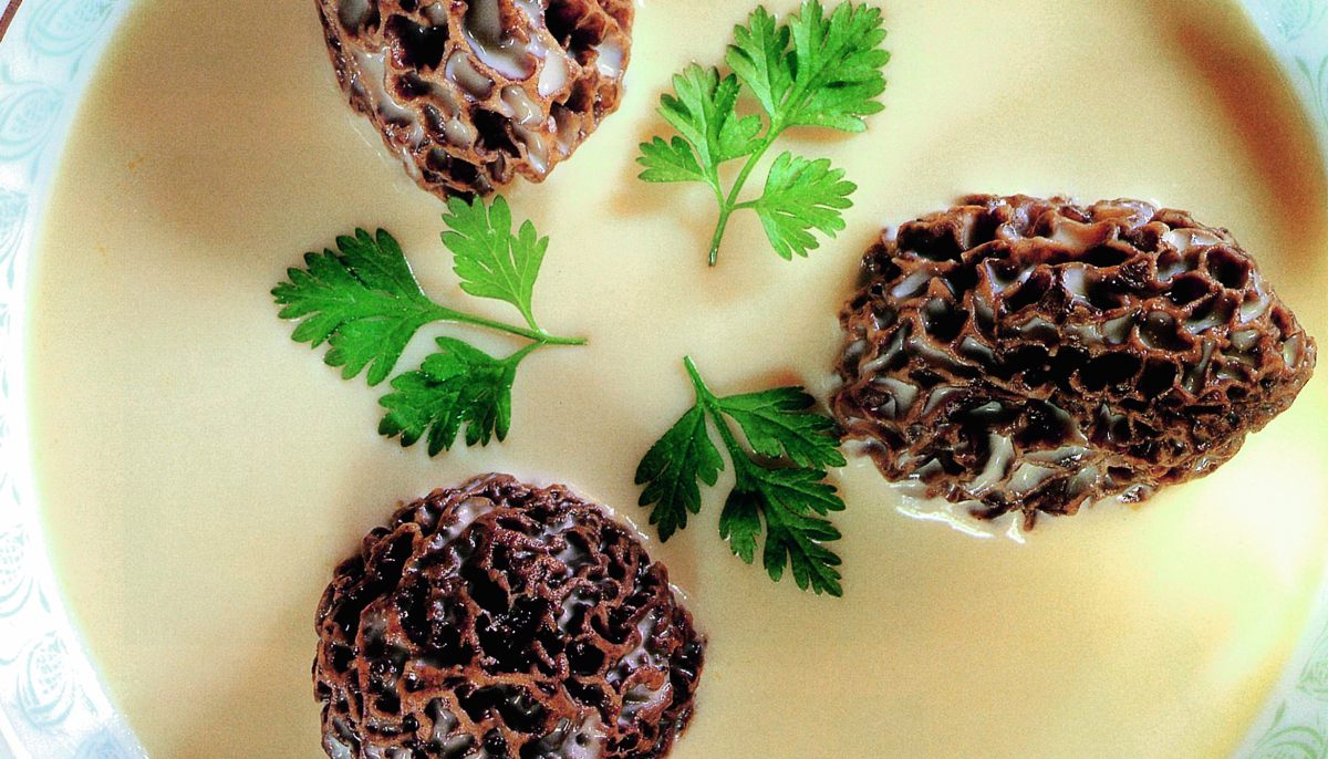 Recette d'Étuvée de morilles au foie gras par Joël Robuchon Académie