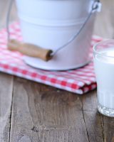 Le lait, nocif ou vital ?