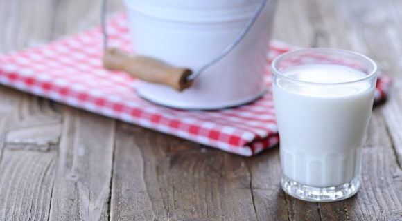Le lait, nocif ou vital ?