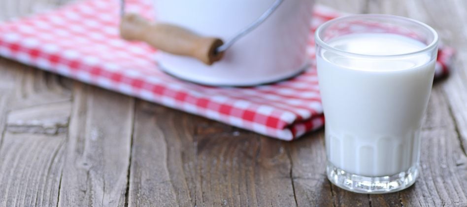 Le lait, nocif ou vital ?