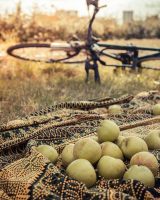 Tour de France gourmand : à la découverte des spécialités food du parcours
