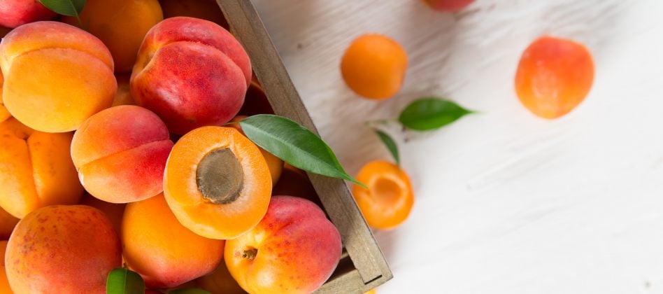 Abricot : les recettes ensoleillées des chefs à réaliser cet été