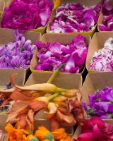 Des fleurs dans nos assiettes !