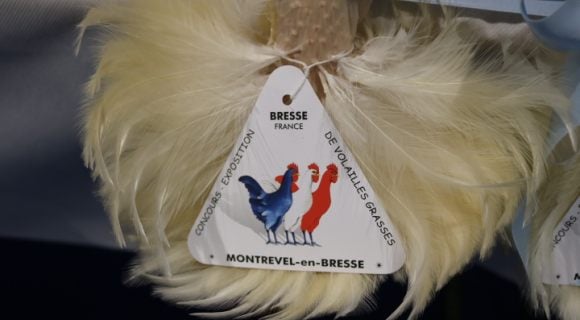 Glorieuses de Bresse : le concours de beauté des volailles AOP