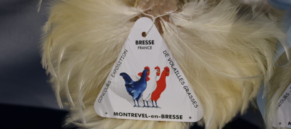 Glorieuses de Bresse : le concours de beauté des volailles AOP