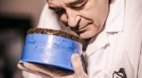 Rencontre avec Bruno Higos, master en caviar chez Kaviari