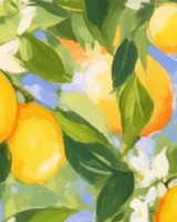 Petit index des agrumes insolites par Michel Bachès