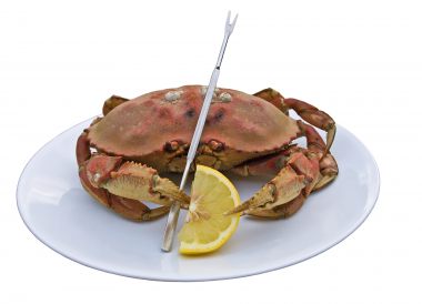 Curettes à crustacés