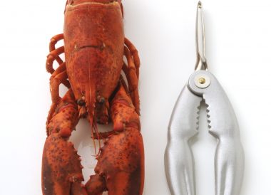 Pince à crustacés