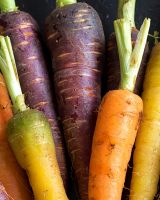 Variations autour de la carotte
