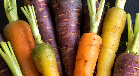 Variations autour de la carotte