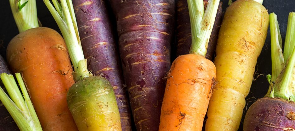 Variations autour de la carotte
