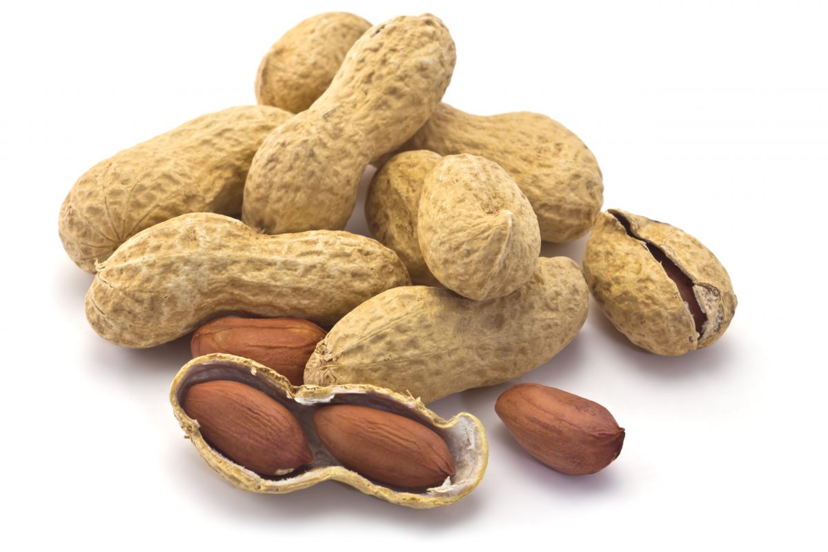 Cacahuètes décortiquées