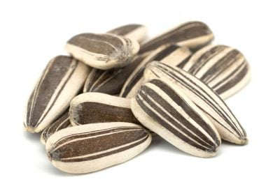 Graines de tournesol