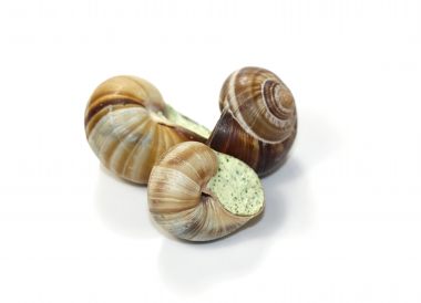 Escargot de Bourgogne