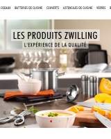 Le groupe ZWILLING fait peau neuve… sur le web