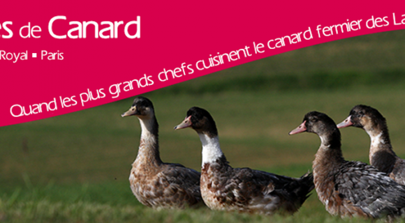 Toqués de canard : le Palais Royal se transforme en coin-coin de paradis