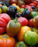 Comment conserver ses tomates après l'été ?