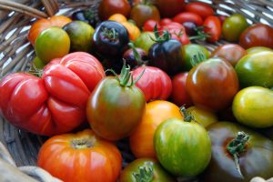 Peaux, eau, pulpe : comment recycler et conserver ses tomates après l'été