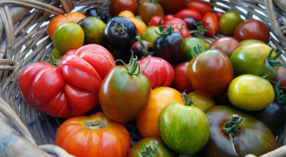 Comment conserver ses tomates après l'été ?