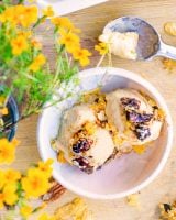 Glaces et sorbets : l’histoire d’une fraîcheur millénaire