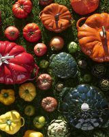 Mille recettes pour un menu 100% cocotte