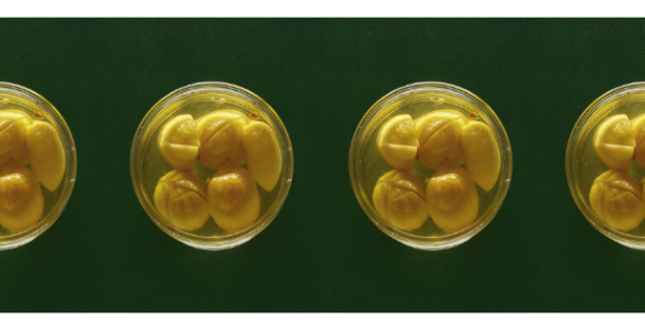 Comment conserver vos citrons ?