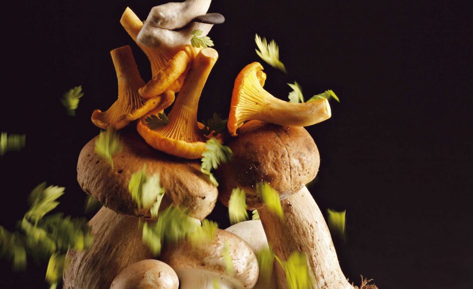 Recette de velouté de champignons par Joël Robuchon