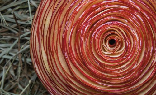 Recette De Tarte Aux Pommes Par Cedric Grolet