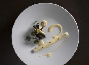 Recette de calamar, artichaut et pimprenelle par Mauro Colagreco