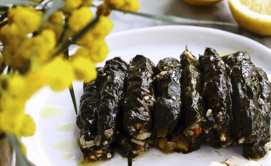 Recette de mehchi sėlek : farci de blettes confites à l’huile d’olive par Liza et Ziad Asseily