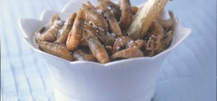 Crevettes grises sautées au beurre demi-sel