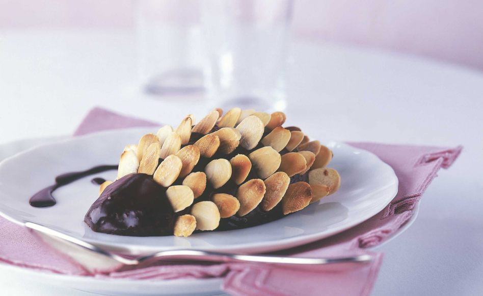 Recette de hérisson de chocolat par Alain Ducasse