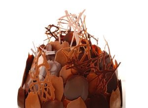 Buisson chocolat-praliné par Alain Ducasse