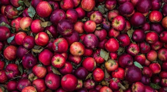 Que faire avec des pommes ?