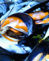 Que mange-t-on en novembre ?