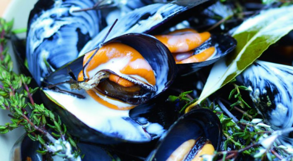 Que mange-t-on en novembre ?