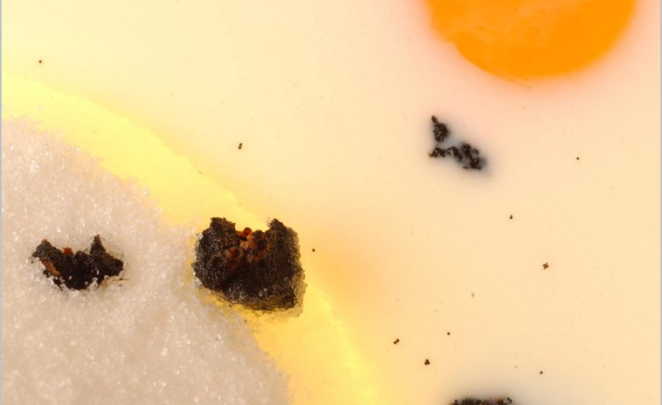 Mousse glacée aux œufs et à la vanille par Alain Ducasse