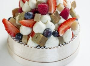 Fraisier aux fruits des bois