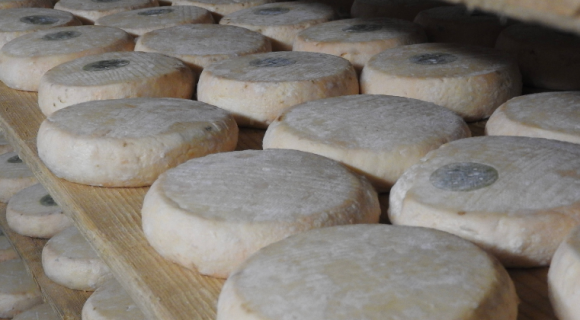 Savoie Mont Blanc, repaire de gastronomie hors-pair