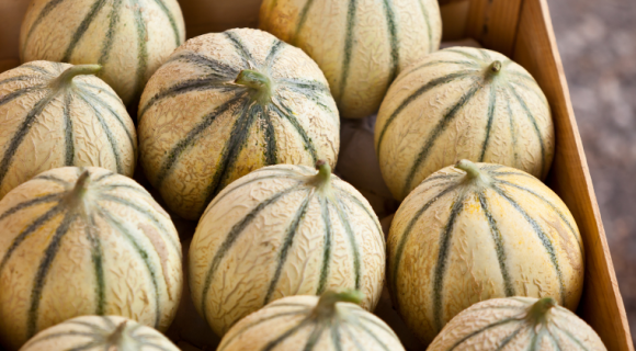 Les 3 erreurs à éviter pour bien choisir son melon