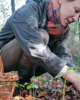 Champignons : 7 conseils de cueillette confiés par Aurélie Sanchez, mycologue