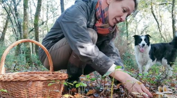 Champignons : 7 conseils de cueillette confiés par Aurélie Sanchez, mycologue