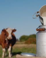 Connaissez-vous le lait de mai, ancestrale potion ?