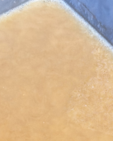 On a testé : la glace à la vanille sans sorbetière