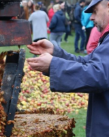 L'agenda gourmand : les rendez-vous d'octobre à ne pas manquer