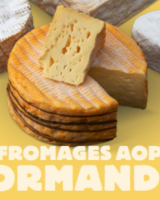 La route des Fromages AOP de Normandie : le terroir normand en 4 fromages, mais pas que !