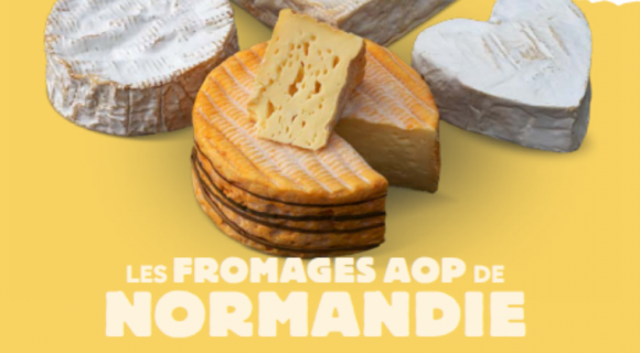 La route des Fromages AOP de Normandie : le terroir normand en 4 fromages, mais pas que !