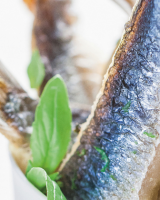 Recettes de chefs pour l’apéro : 10 idées rapides et bluffantes pour l’été